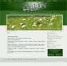 www.aaron.com.pl